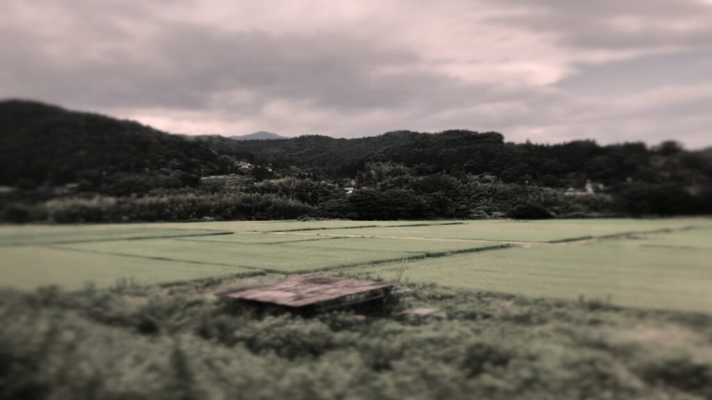 20250317サムネ:わかちえない痛み、でした。