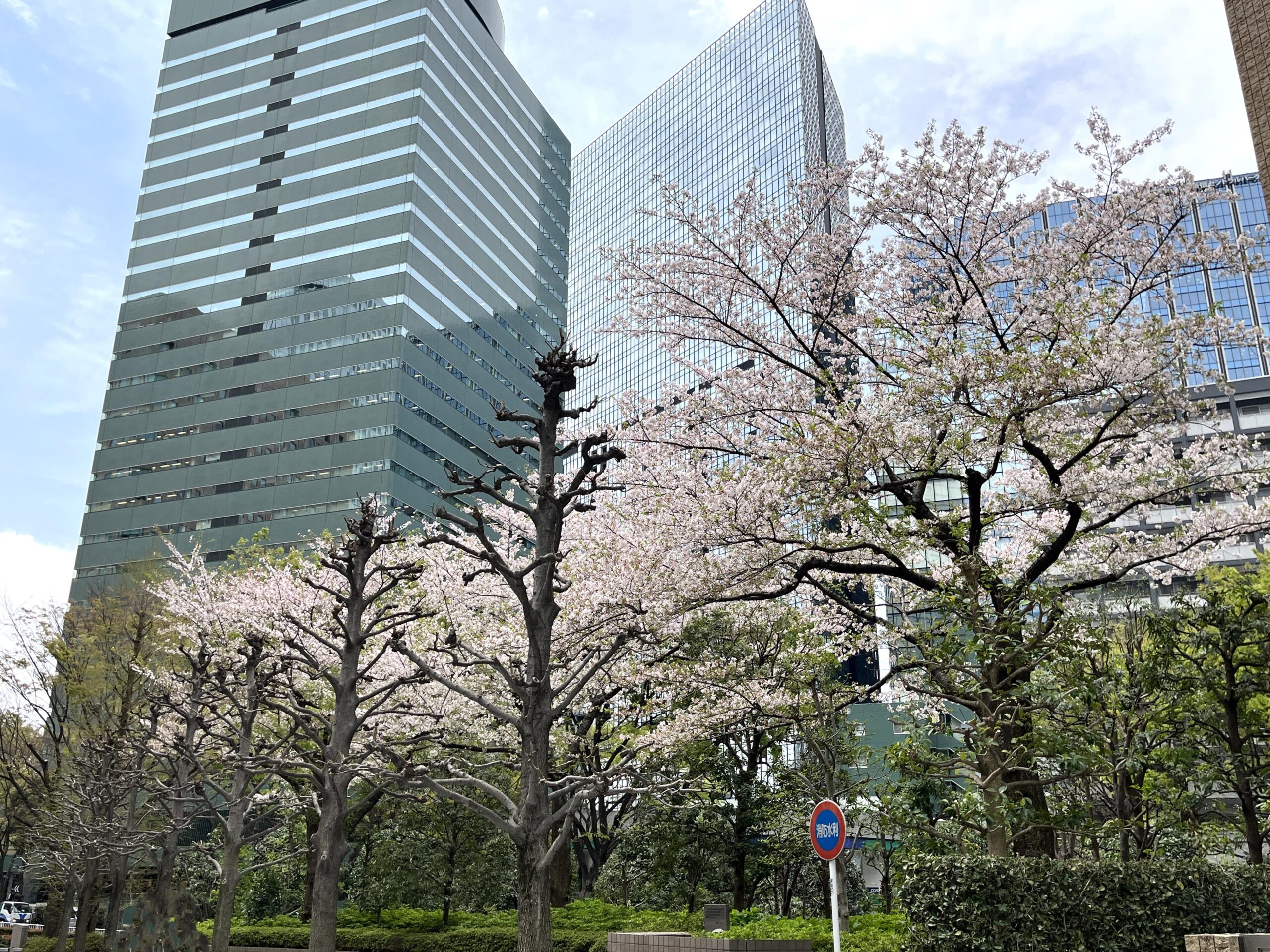 0新宿アイランド・トップ画像