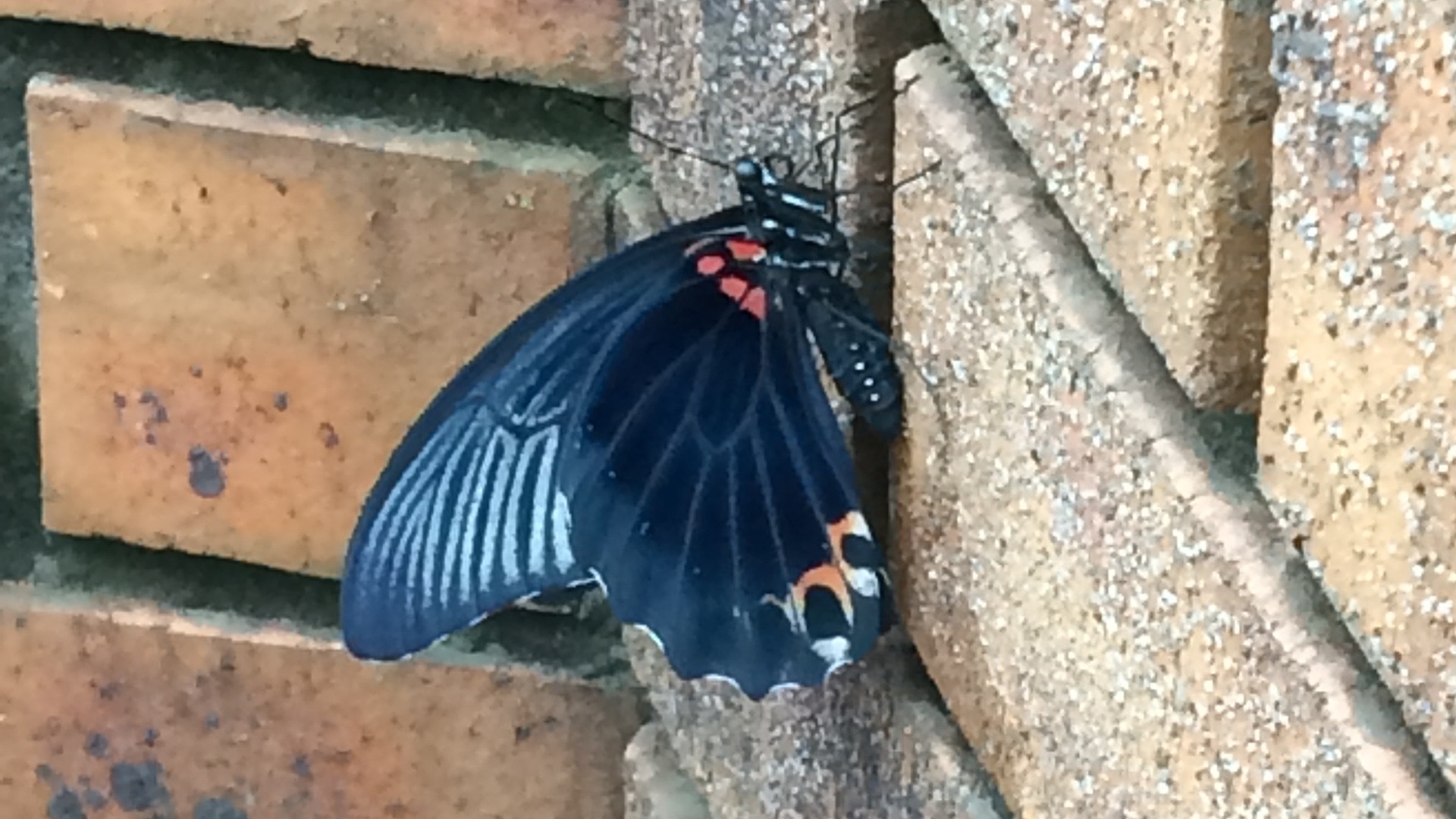 20260114サムネ:体と彫刻と詩作